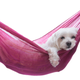Illustration for article titled Researchers May Have Discovered the Lazy Gene, But Just What Does Lazy Mean Anyway?